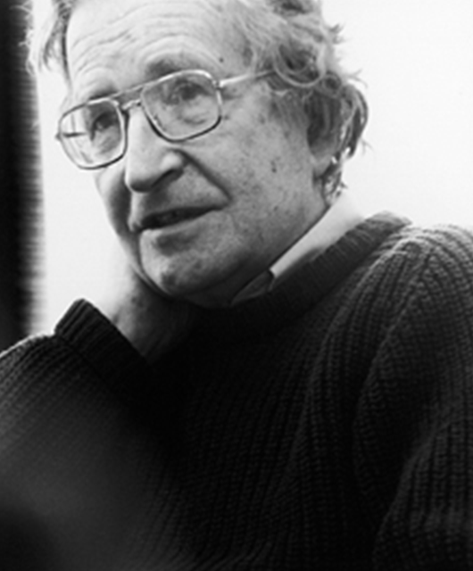 Noah Chomsky (Source: Wikimedia Commons)