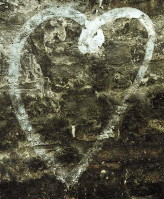Cro-Magnon Heart (Source: Paul Silverzweig/PBS)