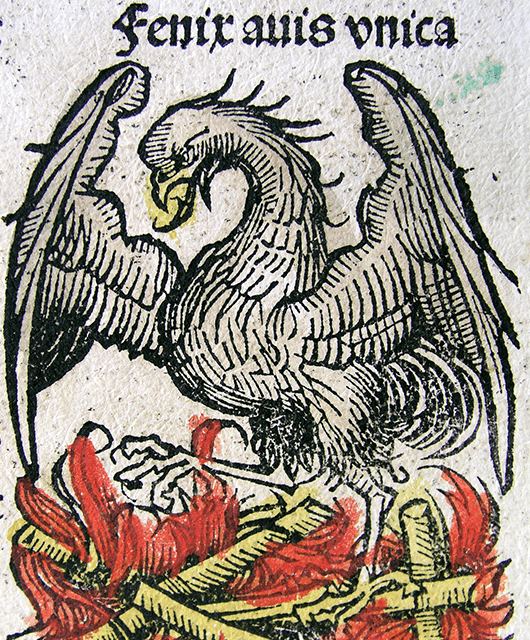 Phoenix illustration from Hartmann Schedel’s "Nuremberg Chronicle" (Source: Wikimedia Commons)