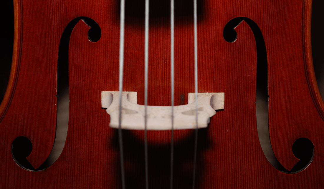 Close-up of Cello