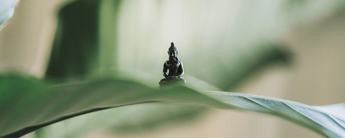 Buddha Behind Leaves