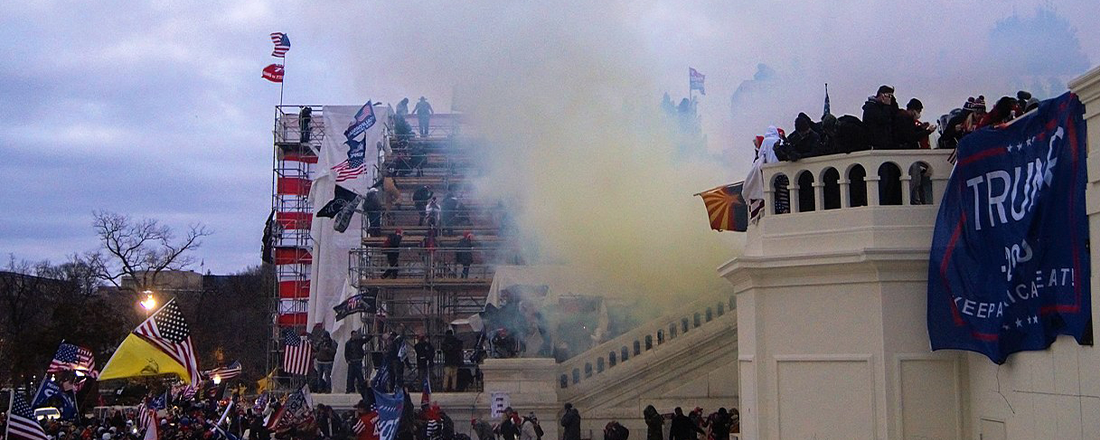2021 Capitol Riots (Source: Tyler Merbler/Flickr)